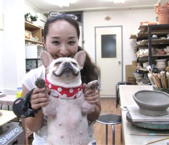 pet-16.jpg pet-16.jpg